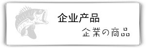 產(chǎn)品介紹標(biāo)題